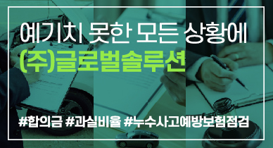 (주)글로벌솔루션 제휴