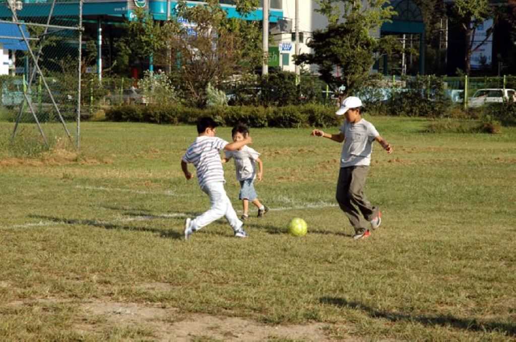 제29회 남부지역 가족체전